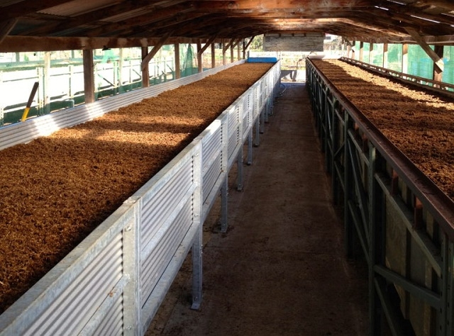 Nuôi giun quế giúp giải quyết lượng phân bón từ vật nuôi