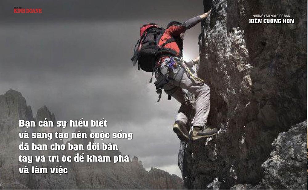 Bạn cần sự hiểu biết và sáng tạo nên cuộc sống đã ban cho bạn đôi bàn tay và trí óc để khám phá và làm việc