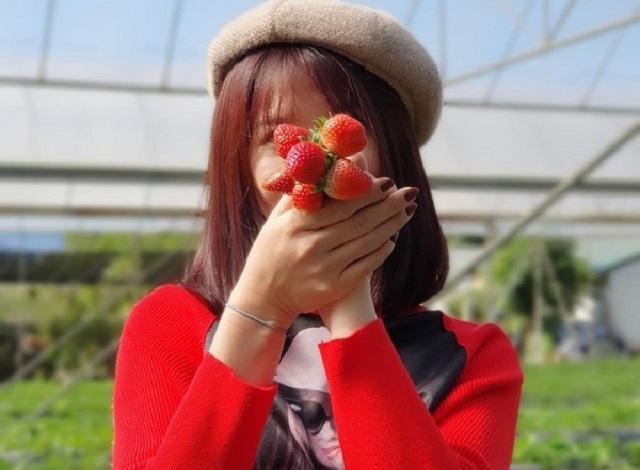 Du khách thích thú khi đến tham quan vườn dâu tây của HTX