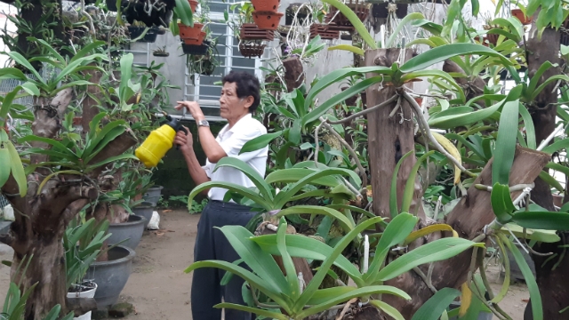 Vườn lan nhà ông Mậu được trồng sau khi tham gia lớp đào tạo nghề