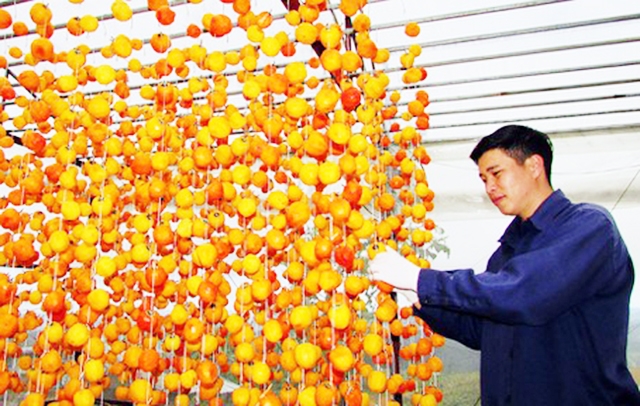 HTX thành công kép với hồng và cà phê