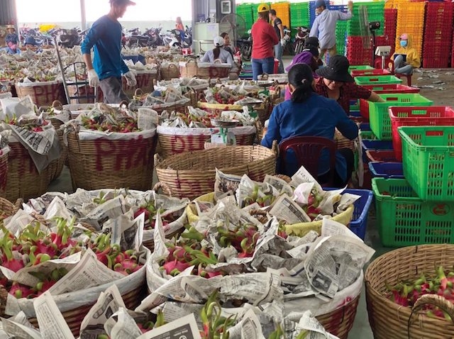 Hệ luỵ của đại dịch Covid-19 lớn hơn nhiều so với các đại dịch SARS (Ảnh minh hoạ: internet)