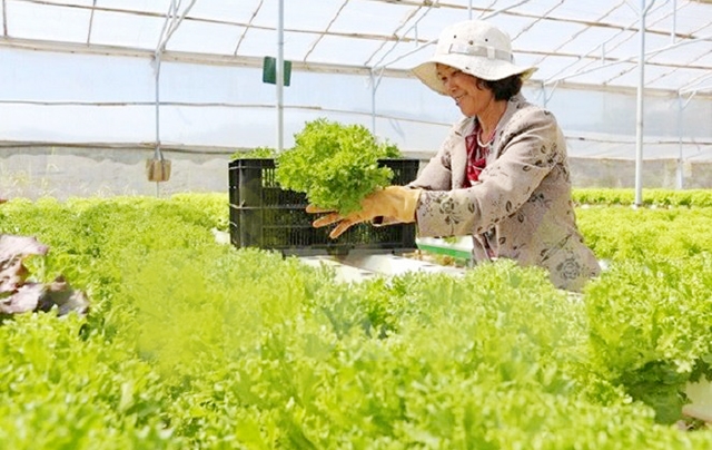 Chú trọng ATLĐ giúp HTX tạo nên những giá trị bền vững