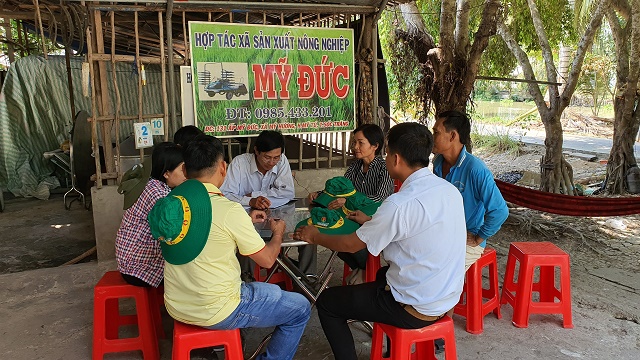 Các thành viên HTX được cán bộ kỹ thuật hướng dẫn quy trình canh tác lúa tiên tiến