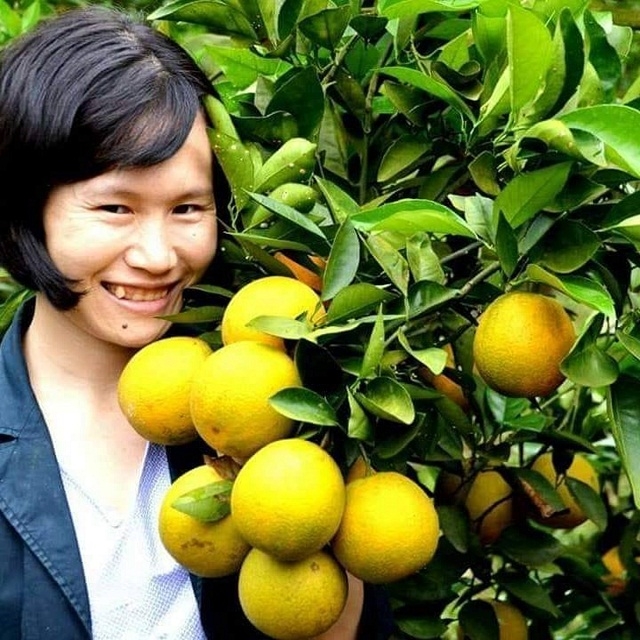 Chị Lê Na chia sẻ lan tỏa phương thức trồng cam sinh thái chính là sứ mệnh của mình