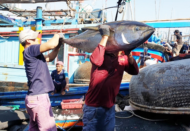 Thành công của THT đang tạo hiệu ứng tích cực, tạo sức lan tỏa trên toàn tỉnh