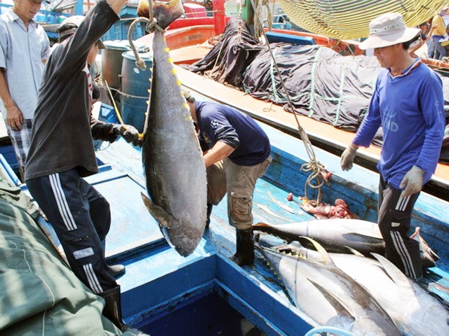Mô hình liên kết của THT đang mang lại lợi ích kép về kinh tế, ATLĐ cho thành viên