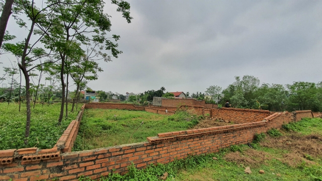 Đất tại Thạch Thất được phân lô, làm tường rào (Ảnh: TK)