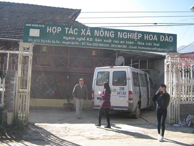 HTX Hoa Đào giúp hàng trăm hộ thành viên thoát nghèo và vươn lên làm giàu