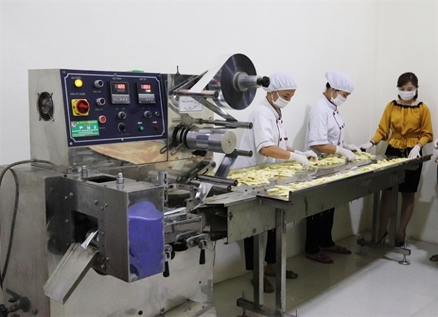 HTX áp dụng máy móc hiện đại vào chế biến, sản xuất sữa (Ảnh: Internet)