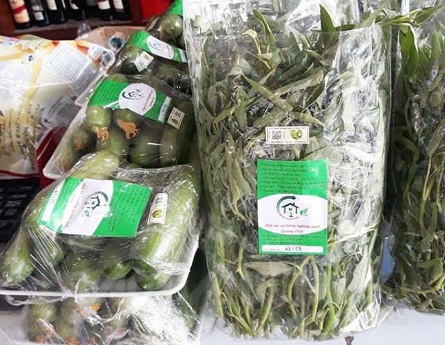 Rau sạch của HTX đã có chỗ trên kệ hàng một số cửa hàng tiện lợi ở TP Hải Dương (Ảnh: Internet)