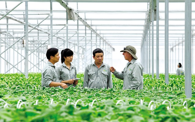 Kinh tế tập thể, hợp tác xã đóng góp quan trọng vào phát triển kinh tế - xã hội của đất nước (Ảnh: Internet)