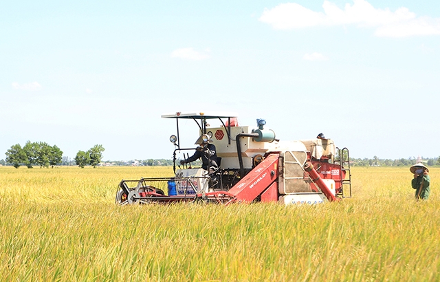 Sản xuất hiện đại gắn với ATLĐ mang lại giá trị bền vững