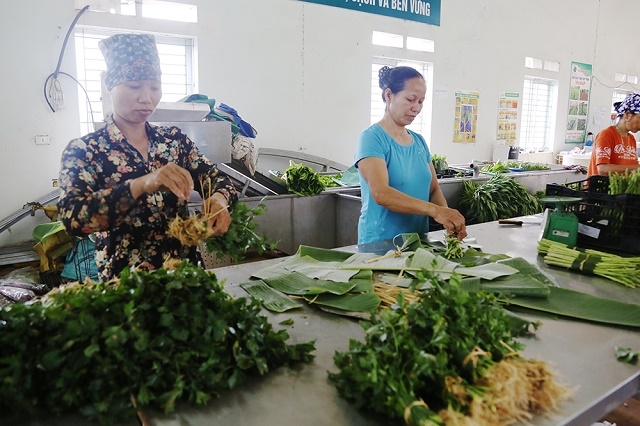 HTX Rau an toàn Tứ Xã gói nông sản bằng lá chuối thay cho túi nilon (Ảnh: Internet)