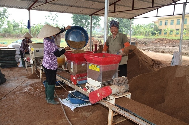 HTX Dịch vụ Nông nghiệp Tân Phong là một trong rất nhiều HTX chưa có trụ sở hoạt động (Ảnh: Internet)