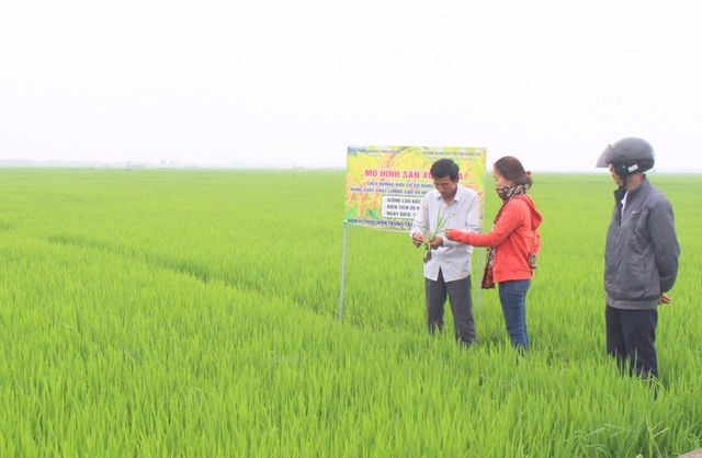 HTX Triệu Thuận đang là HTX kiểu mẫu của tỉnh