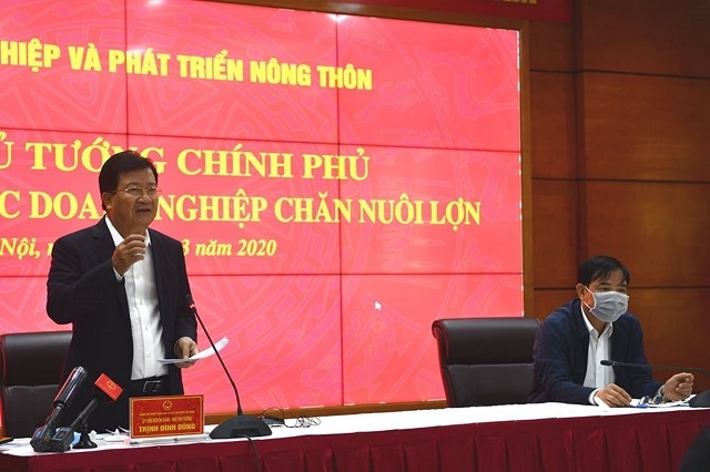 Phó Thủ tướng Trịnh Đình Dũng chủ trì cuộc họp