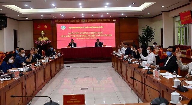 Các doanh nghiệp giơ tay biểu quyết cam kết hạ giá thịt lợn hơi xuống 70.000 đồng/kg