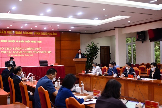 Phó Thủ tướng Trịnh Đình Dũng chủ trì cuộc họp với các doanh nghiệp chăn nuôi lợn