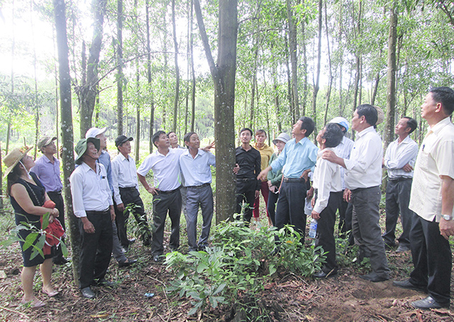 HTX tạo bước ngoặt nhờ thay đổi phương thức sản xuất (Nguồn: Internet)