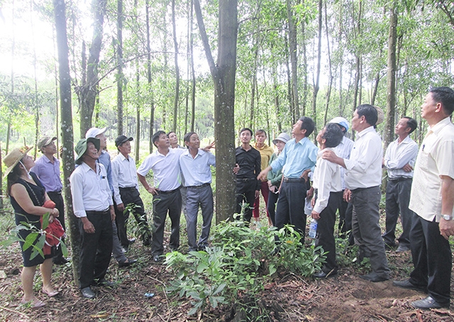 HTX tạo bước ngoặt nhờ thay đổi phương thức sản xuất (Nguồn: Internet)