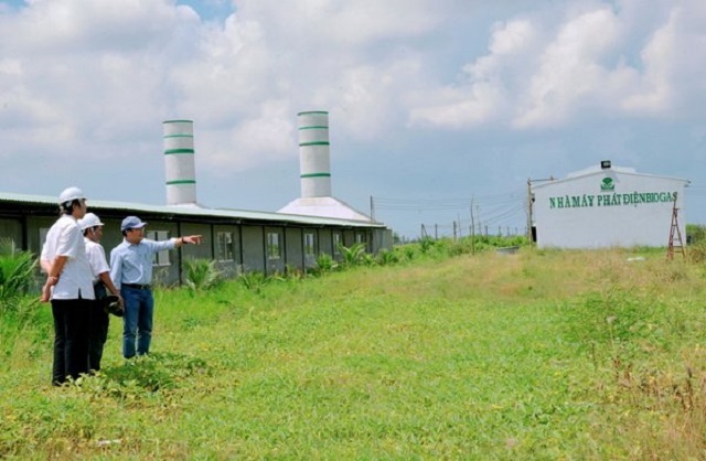 Không chỉ nuôi heo đạt hiệu quả kinh tế, HTX còn sử dụng tốt nguồn chất thải