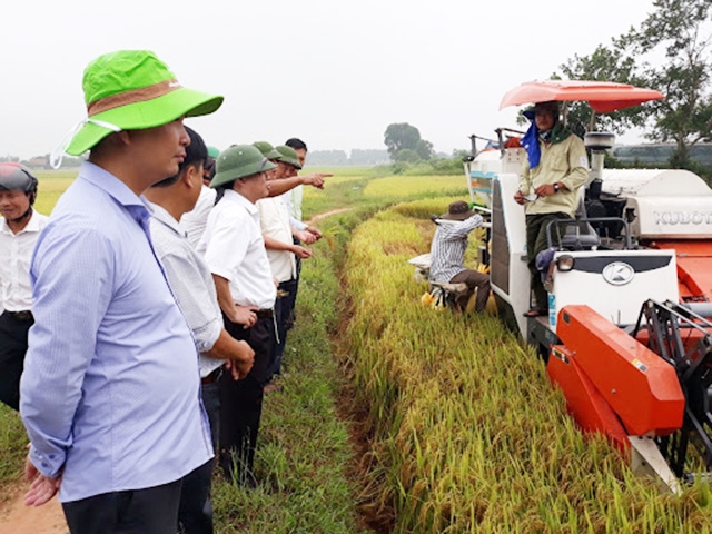 NTM xã Triệu Trạch đang có chuyển biến lớn