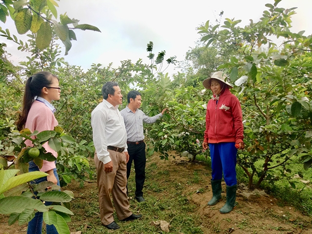 HTX đang có vai trò quan trọng trong NTM tại Triệu Trạch