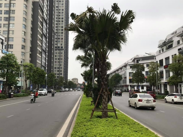 Dự án VinHomes Gardenia nằm trên phố Hàm Nghi lác đác có xe qua lại