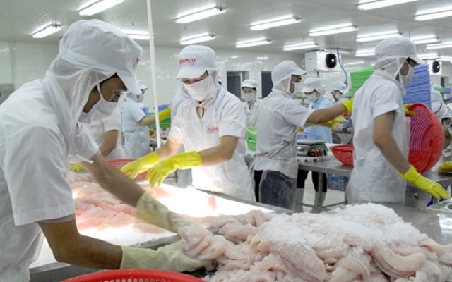 Vasep kiến nghị Thủ tướng và Ngân hàng Nhà nước có chính sách cho phát triển kho lạnh (Ảnh: Internet)