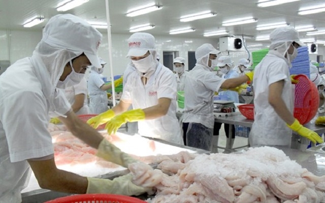 Vasep kiến nghị Thủ tướng và Ngân hàng Nhà nước có chính sách cho phát triển kho lạnh (Ảnh: Internet)