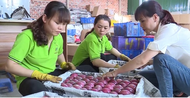 Sản phẩm được phân hạng OCOP cấp tỉnh sẽ là cơ sở tốt nhất để các HTX tạo dựng niềm tin với khách hàng (Ảnh Tư liệu)