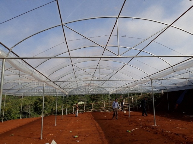 Giàn phơi tự nhiên ở HTX Chân Mây Bắc Hướng Hóa (Ảnh TL)