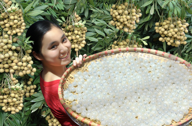 HTX sản xuất nhãn lồng Nễ Châu được thành lập với mục đích để quảng bá, giới thiệu quả nhãn và long nhãn - thứ quả đặc sản nổi tiếng của vùng đất Hưng Yên (Ảnh: Internet)