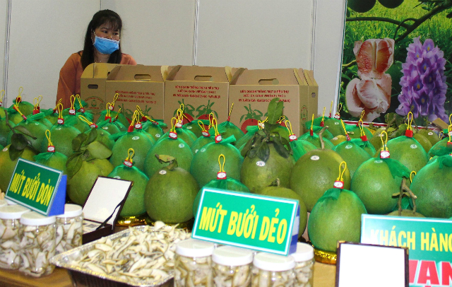 Tác động trực tiếp bởi Covid-19, xuất khẩu rau quả gặp khó đầu ra