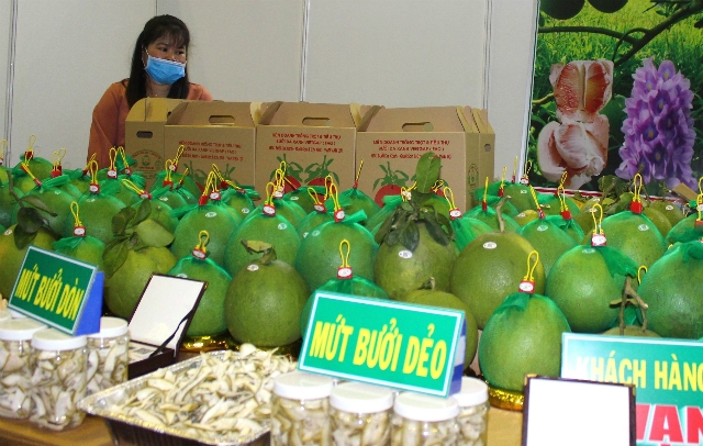Tác động trực tiếp bởi Covid-19, xuất khẩu rau quả gặp khó đầu ra