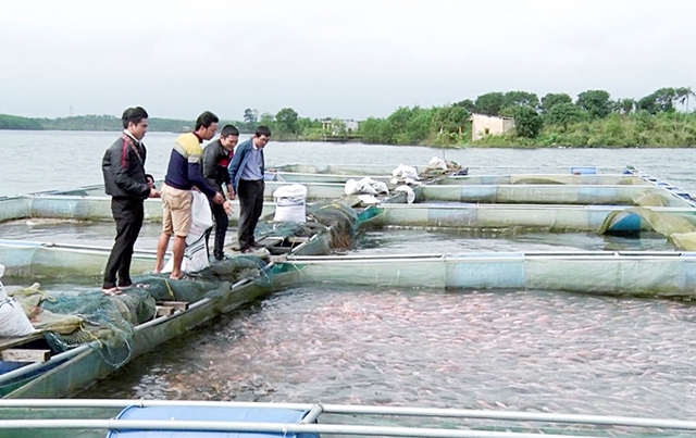 HTX thành công nhờ phát huy tốt các nguồn lực về con người, điều kiện tự nhiên (Ảnh Tư liệu)