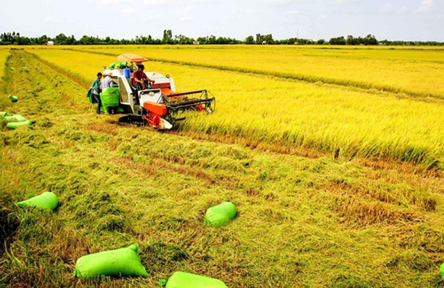HTX Rạch Lọp đang là điểm sáng trong thúc đẩy phát triển sản xuất, làm giàu trên mảnh đất quê hương (Ảnh Tư liệu)