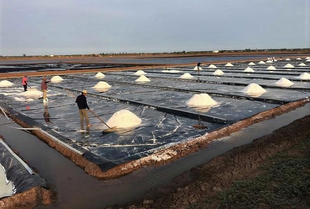 Sử dụng bạt nhựa màu đen trong công đoạn kết tinh muối đã nâng cao năng suất thêm 15-20% (Ảnh TL)
