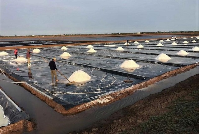 Sử dụng bạt nhựa màu đen trong công đoạn kết tinh muối đã nâng cao năng suất thêm 15-20% (Ảnh TL)