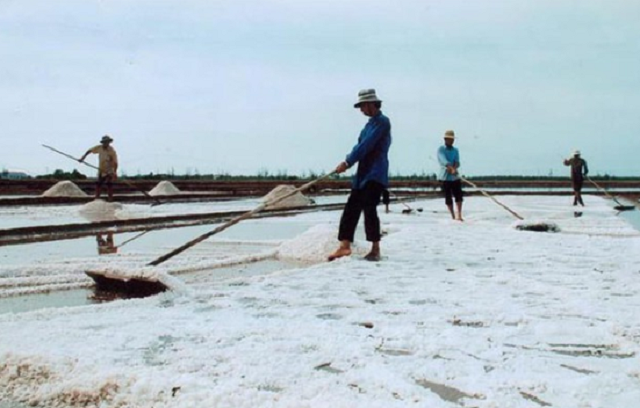 Nghề muối bấp bênh khiến nhiều diêm dân không còn mặn mà với nghề (Ảnh Tư liệu)