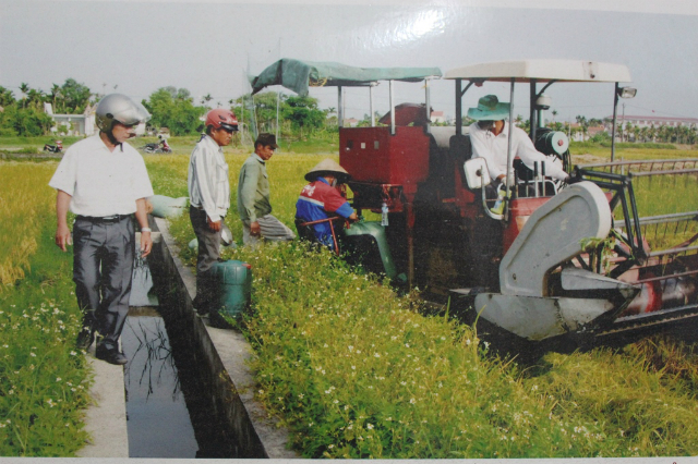 Lãnh đạo HTX đi kiểm tra việc thu hoạch lúa của các THT