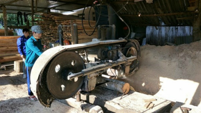 Phục Hoà là địa phương có 10/11 HTX hoạt động có hiệu quả (Ảnh TL)