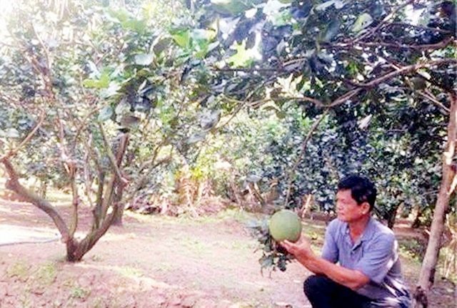 HTX luôn lấy tiêu chí xanh, sạch làm mục tiêu hàng đầu trong quá trình sản xuất (Ảnh Tư liệu)