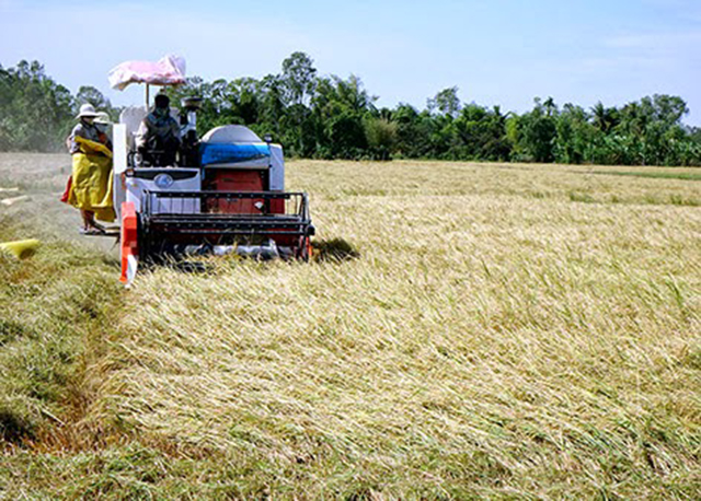 HTX đang áp dụng phương thức sản xuất giàu khoa học - kỹ thuật (Ảnh Tư liệu)