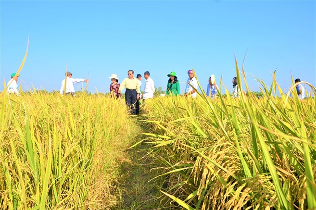 Việc ứng dụng hiệu quả công nghệ mới giúp HTX thành công, mở hướng làm giàu cho thành viên (Ảnh TL)
