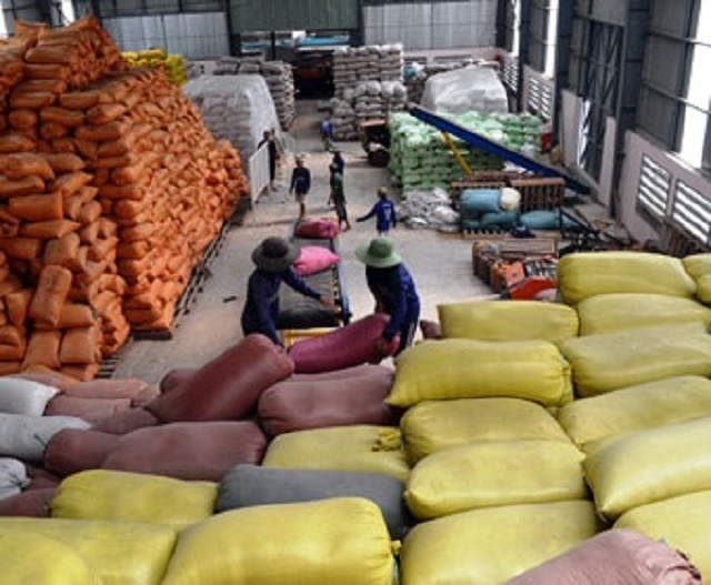 HTX sản xuất lúa giống phục vụ cho nhu cầu tại chỗ với sản lượng khoảng 90 tấn/năm (Ảnh: TL)