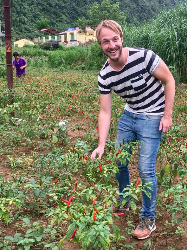 Đối tác của công ty DACE thăm vùng nguyên liệu trồng ớt ở Hoà An