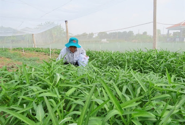 Các mô hình sản xuất thành công nhờ sản xuất sạch, chú trọng ATLĐ (Ảnh TL)