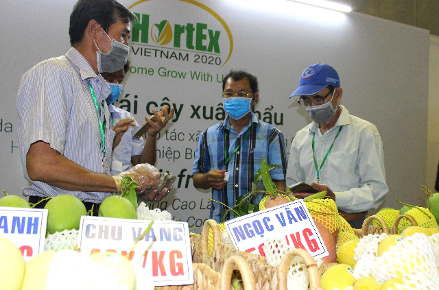 Giữa mùa dịch này, rất cần sự liên kết tốt hơn giữa các DN ngành nông sản